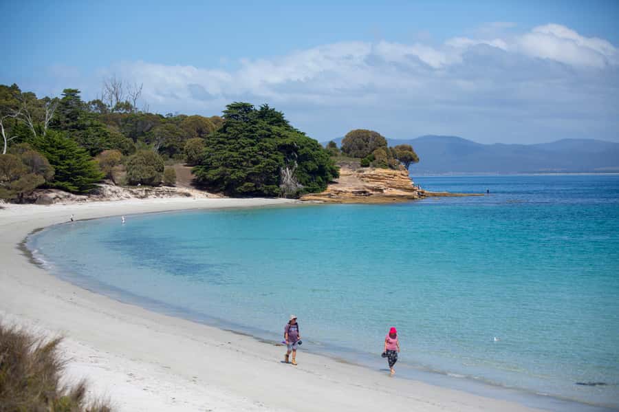 Hobart: Maria Island National Park Active Full-Day Tour - Why Maria Island feels so different