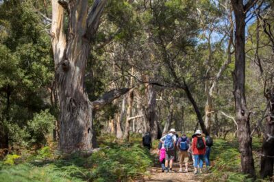 Maria Island National Park Active Full-Day Tour