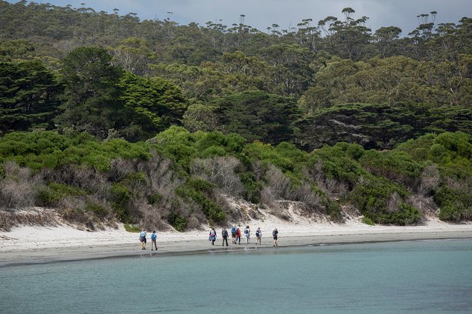 Hobart: Maria Island National Park - Nature & Wildlife Adventure - Darlington and Maria Island’s convict past