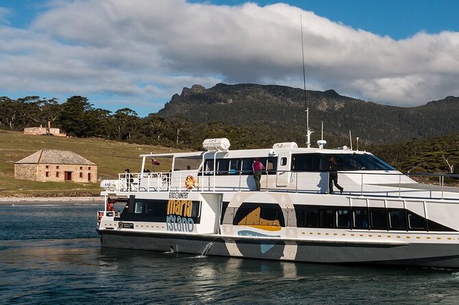 Hobart: Maria Island National Park - Nature & Wildlife Adventure - The ferry from Triabunna to Maria Island