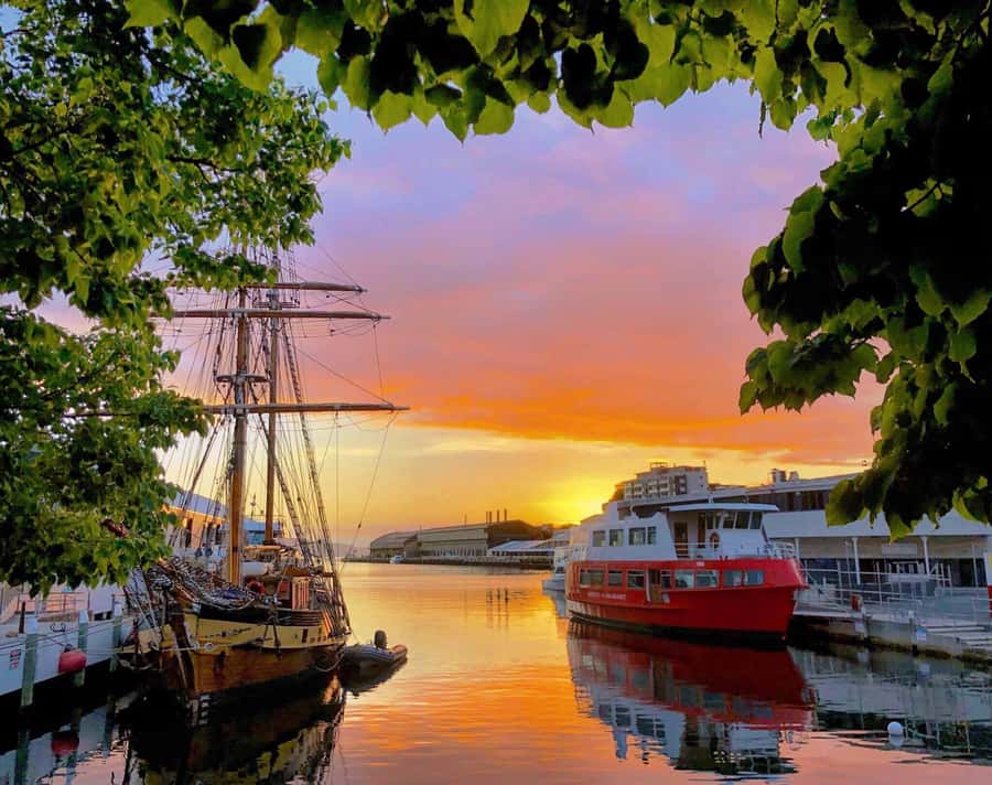 Hobart: Morning River Cruise - Boarding at Murray Street Pier