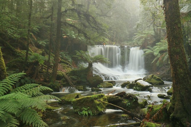 Hobart: Mt. Field, Mt Wellington & Wildlife - Active Day Tour - Guides make the difference on a packed day