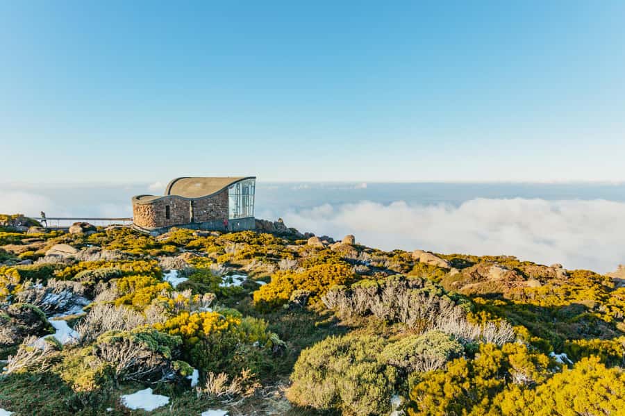 Hobart: Mt Wellington, Mt Field, Bonorong and Richmond Trip - Key points at a glance