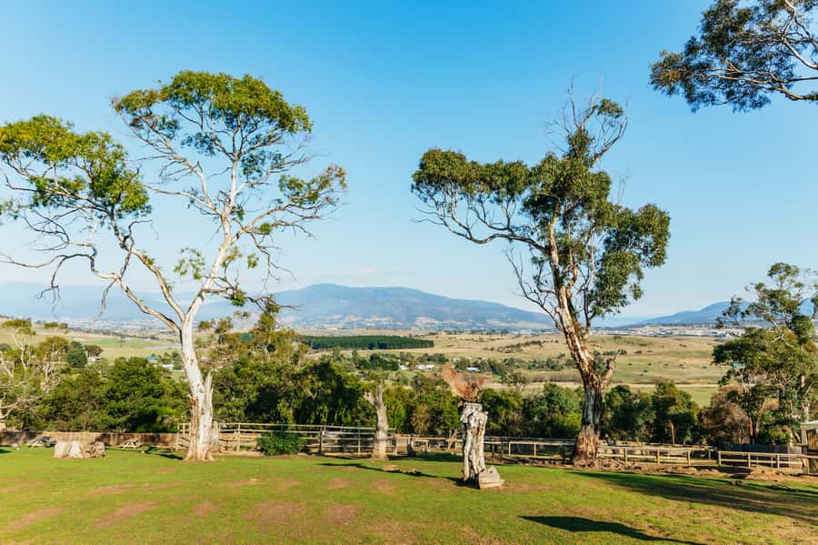 Hobart: Mt Wellington, Mt Field, Bonorong and Richmond Trip - Is $126 good value?