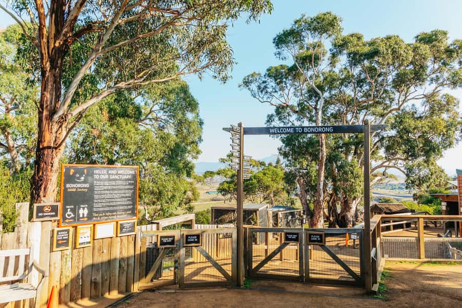 Hobart: Mt Wellington, Mt Field, Bonorong and Richmond Trip - The guide is part of the value