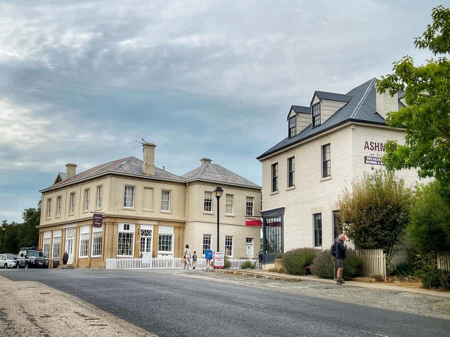 Hobart: Mt Wellington, Richmond, & Bonorong Wildlife Tour - What $130 buys you