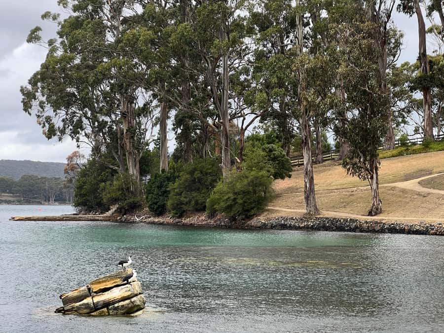 Hobart: Port Arthur & Tasman Park Full-Day Trip with Cruise - The optional Remarkable Cave stop