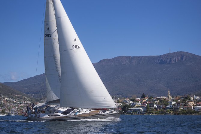 Hobart Sailing Experience - Mt Wellington, forests, and a better sense of place