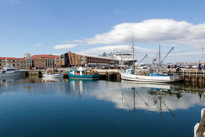 Hobart Shore Excursion: Hobart Attractions Bus - Why Mount Nelson is the right first stop
