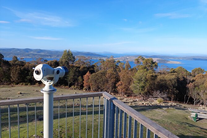Hobart Shore Excursion: Hobart Attractions Bus - What the fixed coach format means for your day