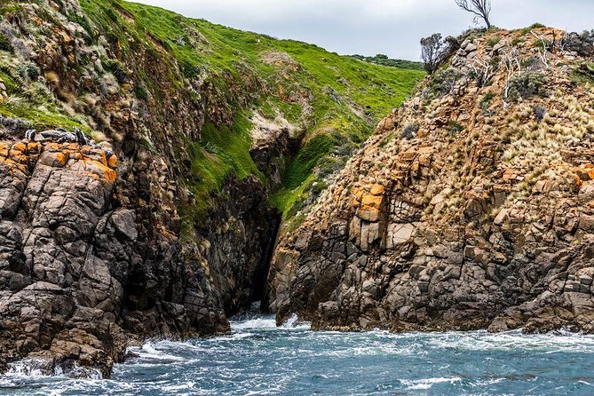 Hobart Sightseeing Cruise including Iron Pot Lighthouse - Key points to know before you book
