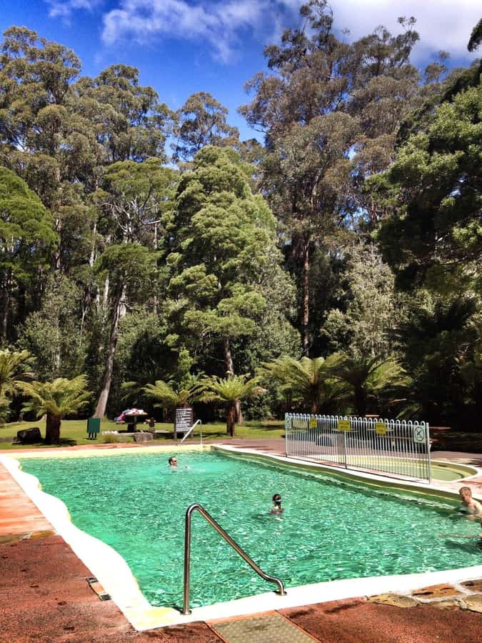 Hobart: Tahune Airwalk & Hastings Caves - Active Day Tour - Key points to know before you book