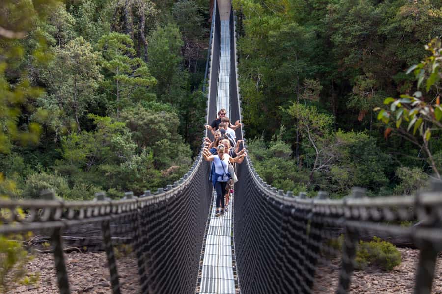 Hobart: Tahune Airwalk & Hastings Caves - Active Day Tour - Why this southern Tasmania day works so well