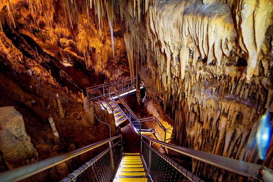 Hobart: Tahune Airwalk & Hastings Caves - Active Day Tour - Climbing into the Tahune treetops