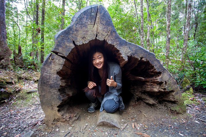 Hobart: Tahune Airwalk, Hastings Caves & Thermal Springs Pool - From Hobart into the Huon Valley
