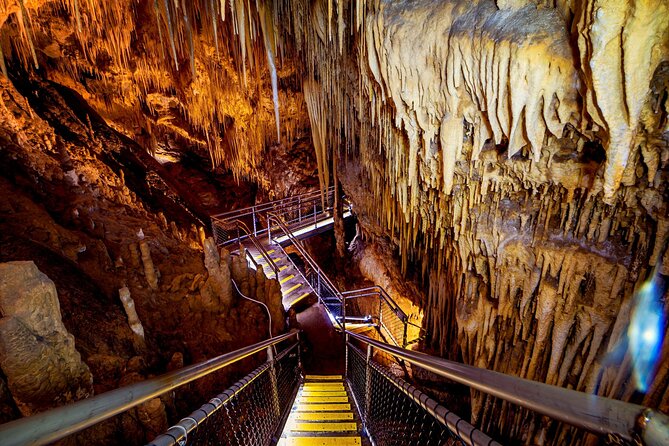 Hobart: Tahune Airwalk, Hastings Caves & Thermal Springs Pool - What the Tahune stop demands physically