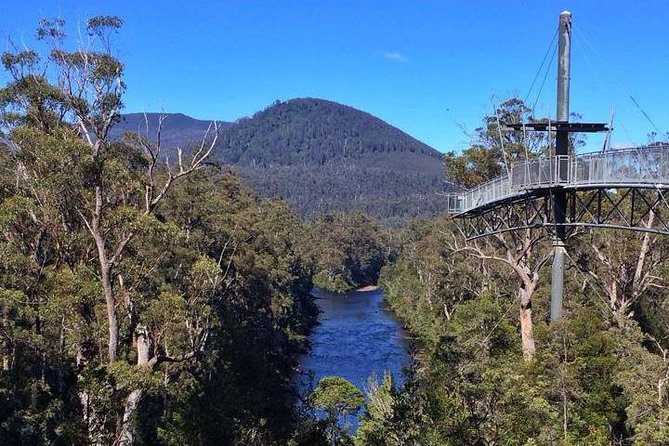 Hobart: Tahune Airwalk, Hastings Caves & Thermal Springs Pool - The thermal pool, nature track and platypus hopes