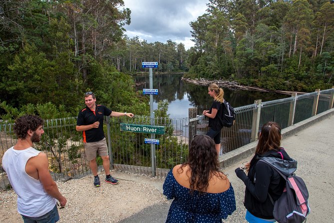 Hobart: Tahune Airwalk, Hastings Caves & Thermal Springs Pool - Guides and group size