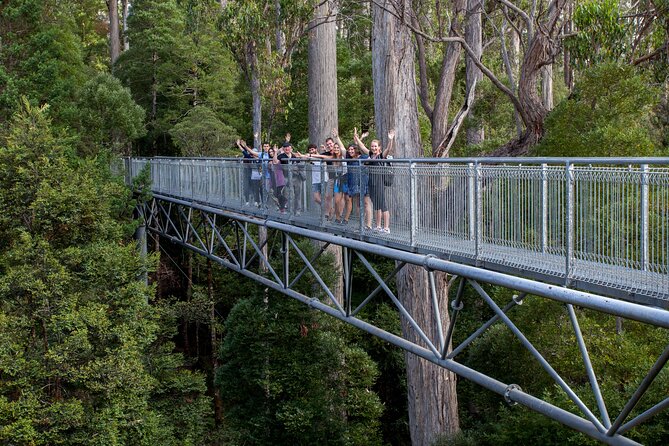 Hobart: Tahune Airwalk, Hastings Caves & Thermal Springs Pool - Is $147.03 good value?