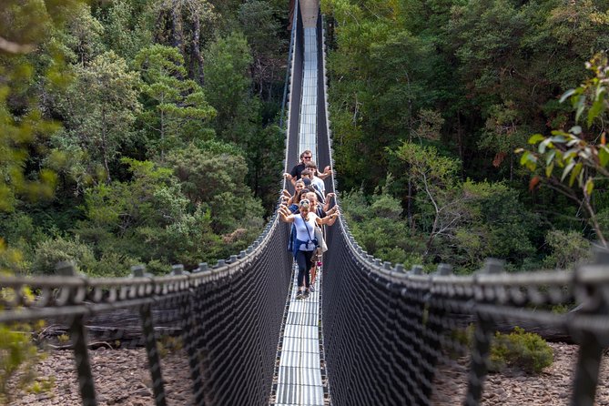 Hobart: Tahune Airwalk, Hastings Caves & Thermal Springs Pool - Three ways to experience Tahune