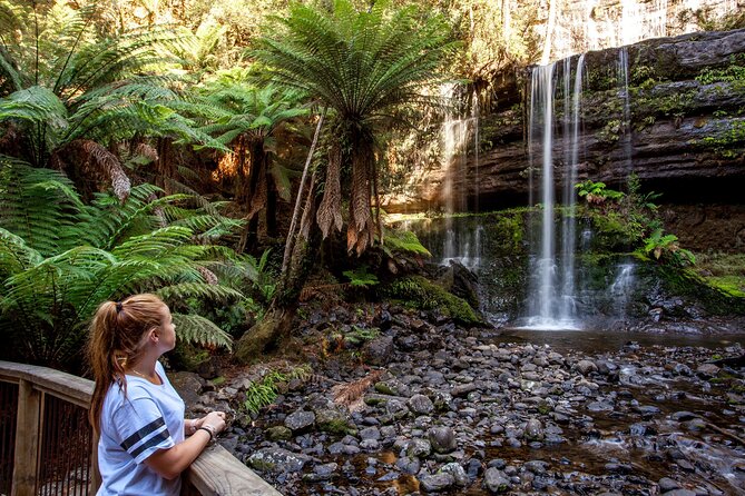 Hobart: Waterfalls, Wilderness & Wildlife - Active Day Tour - Bonorong Wildlife Sanctuary after the forest
