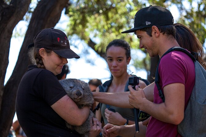 Hobart: Waterfalls, Wilderness & Wildlife - Active Day Tour - Who should book this active Tasmania tour?