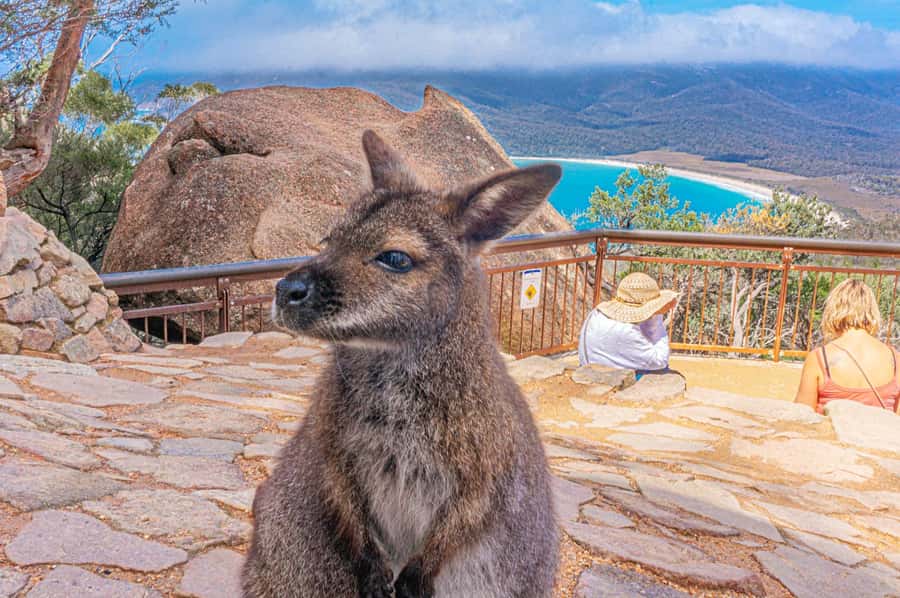 Hobart: Wineglass Bay, Freycinet Park, and Richmond Tour - Entering Freycinet National Park and seeing the Hazards