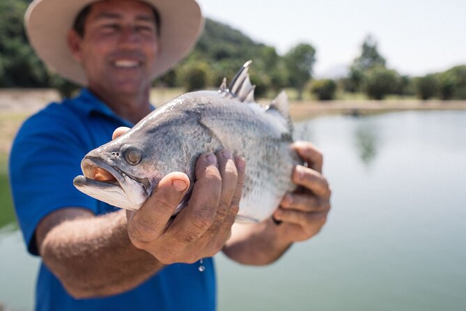 Hook-a-Barra Gourmet Farm Tour - Why this small Daintree farm visit works