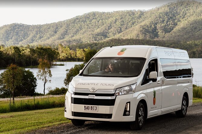 Hop on Hop Off Bus - Tamborine Mountain - The minibus ride and the day’s loose rhythm