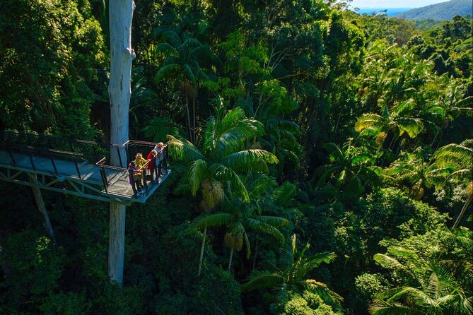 Hop on Hop off - Tamborine Rainforest Skywalk + Glow Worm Caves - Inside the Glow Worm Caves for 45 minutes