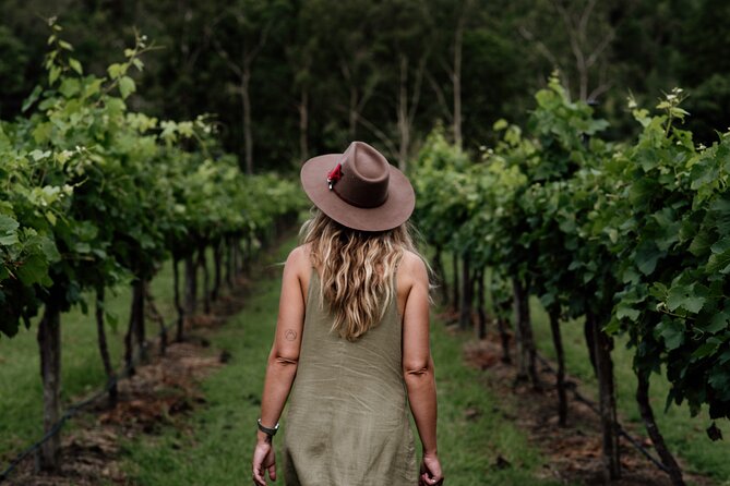 Hop on Hop off Wine tasting tour to Tamborine Mountain - Who should book this tour?