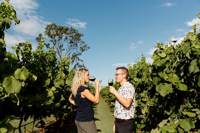 Hop on Hop off Wine tasting tour to Tamborine Mountain - Is Tamborine Mountain worth a day trip?