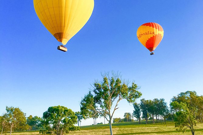 Hot Air Balloon Flight Brisbane with Vineyard Breakfast - Thirty minutes above the forested valleys