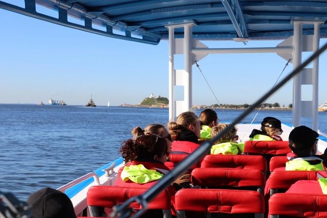 Humpback Whale Encounter Tour from Newcastle - Dolphins, seals, and coastal views