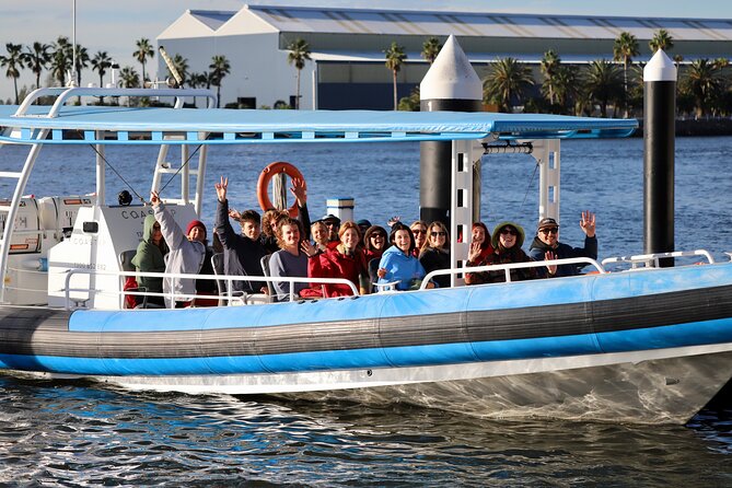 Humpback Whale Encounter Tour from Newcastle - Is $84.75 good value?