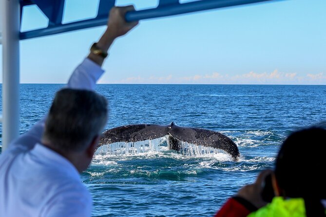 Humpback Whale Encounter Tour from Newcastle - Who will enjoy this cruise most?