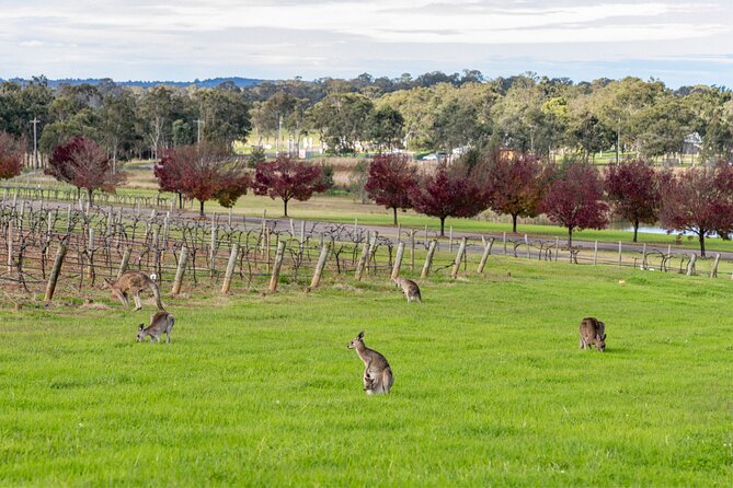 Hunter Valley All Inclusive Boutique Wine Tour from Sydney - Two boutique wineries before lunch