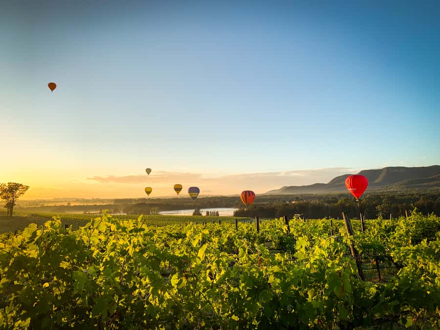 Hunter Valley: Sunrise Balloon Ride with Bubbly Breakfast - Landing, packing away, and the transport between sites