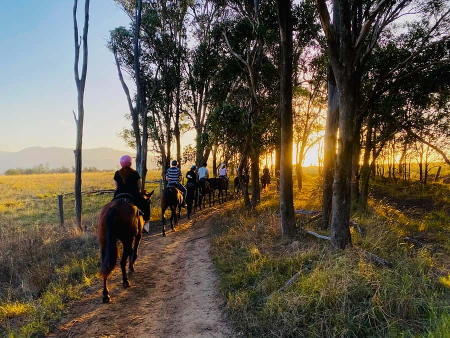 Hunter Valley: Sunset Horse Riding Tour 90min - Key points at a glance