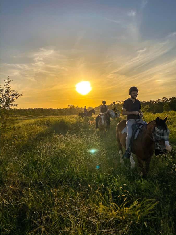 Hunter Valley: Sunset Horse Riding Tour 90min - The ride begins at Hunter Valley Resort