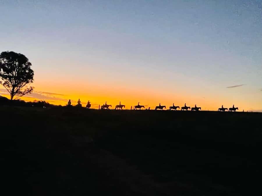 Hunter Valley: Sunset Horse Riding Tour 90min - Riding through Hunter Valley bushland and farmland