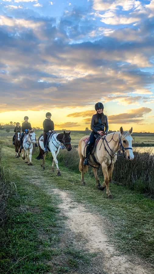 Hunter Valley: Sunset Horse Riding Tour 90min - The Broken Back Range at golden hour
