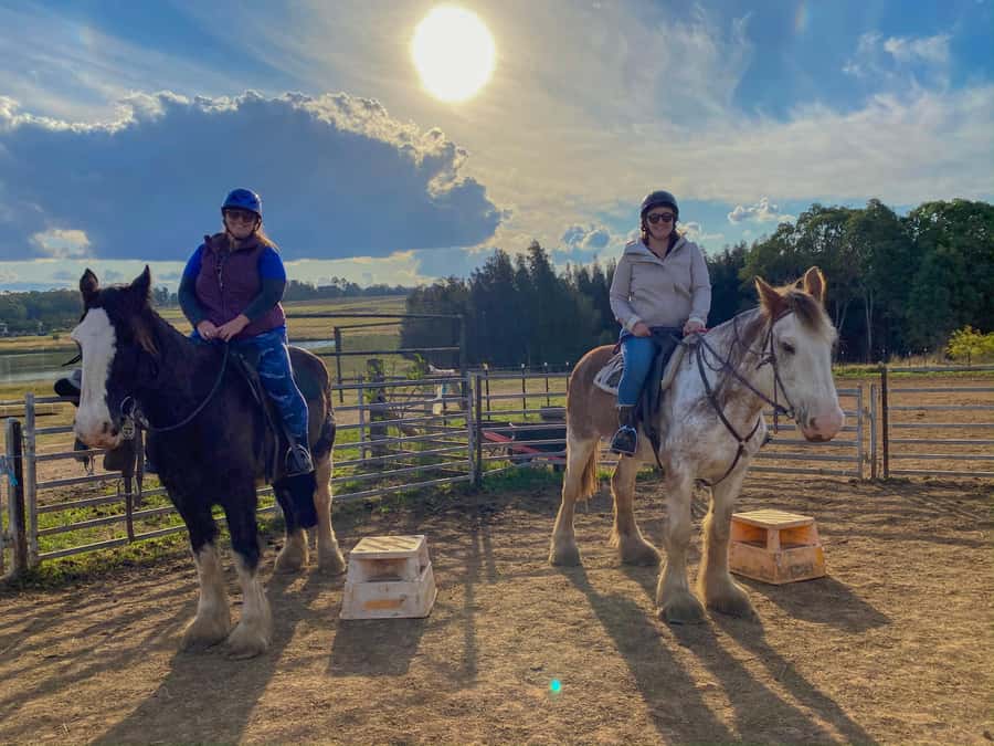 Hunter Valley: Sunset Horse Riding Tour 90min - Group size, pace, and the feel of the evening