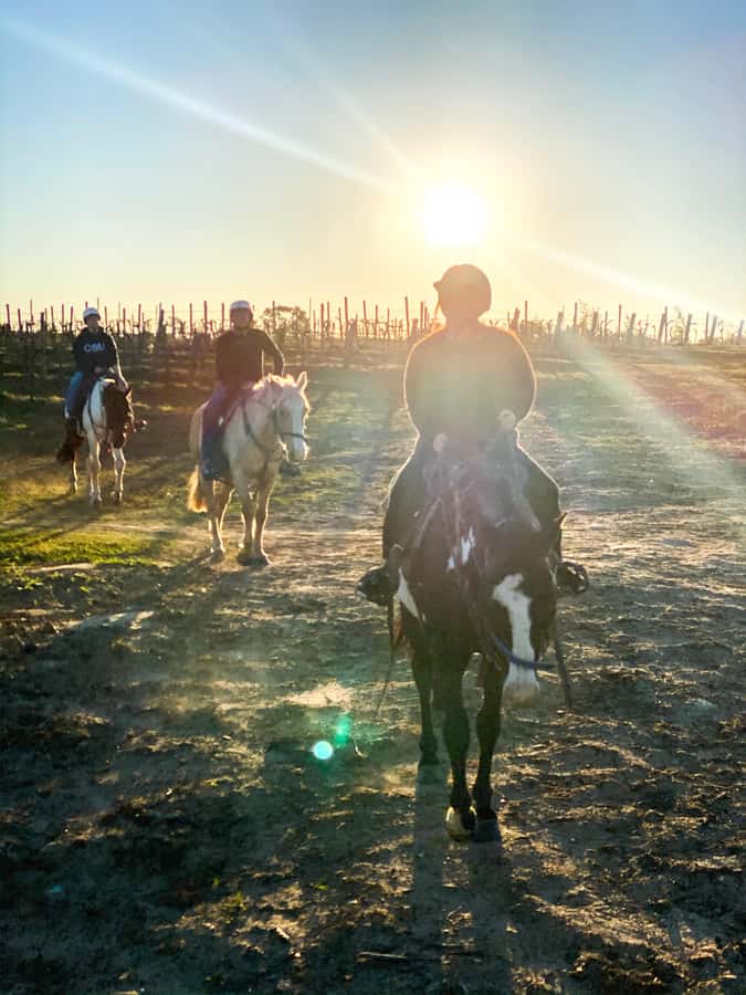 Hunter Valley: Sunset Horse Riding Tour 90min - Practical preparation before you go