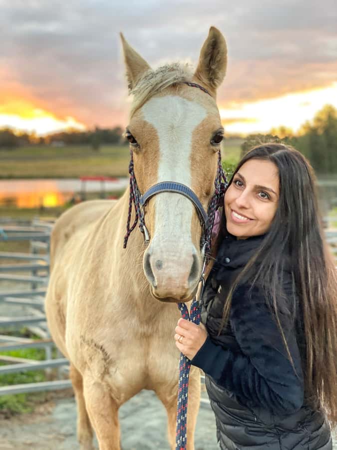 Hunter Valley: Sunset Horse Riding Tour 90min - Should you book the 90-minute sunset ride?