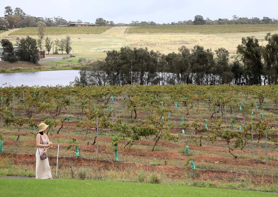 Hunter Valley: Wine, Chocolate and Lunch All Inclusive Tour - Booking value, timing and cancellation