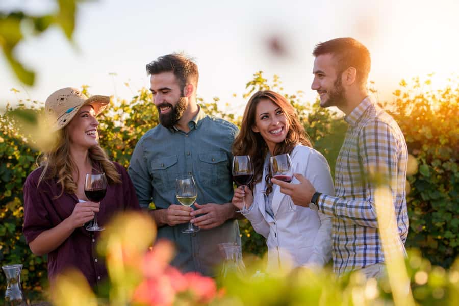 Hunter Valley: Wine, Chocolate and Lunch All Inclusive Tour - Sobels Wines: a useful start behind the cellar door