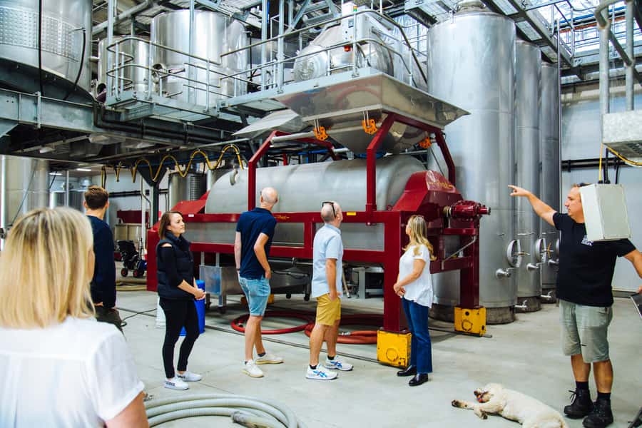 Hunter Valley: Wine, Spirits, and Cheese Tour with Lunch - Who should book this Hunter Valley day?