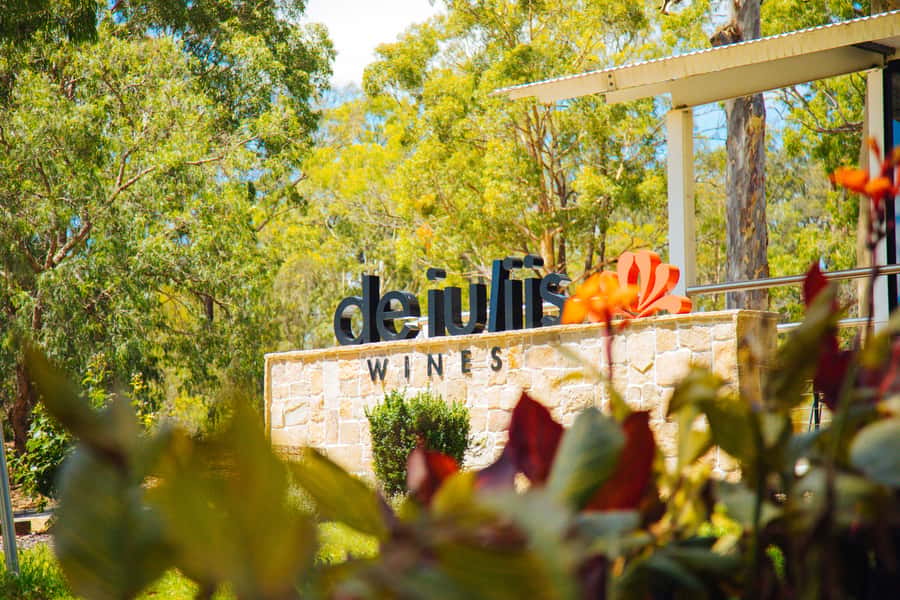 Hunter Valley: Wine, Spirits, and Cheese Tour with Lunch - The six-hour pace keeps the day easy, but not leisurely