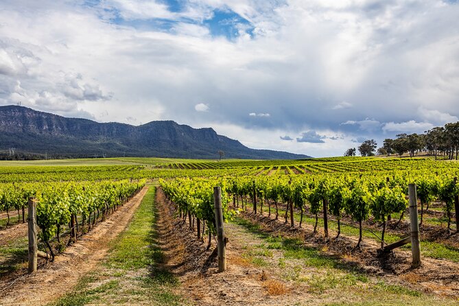 Hunter Valley Wine Tasting Tour from Sydney - Key points to know before you book